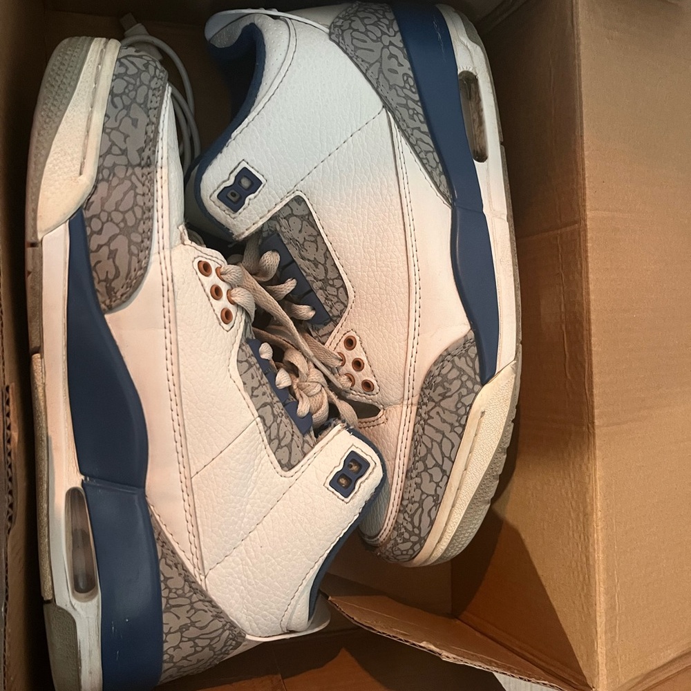 Jordan White and Blue Sneakers with Iconic Elephant Print